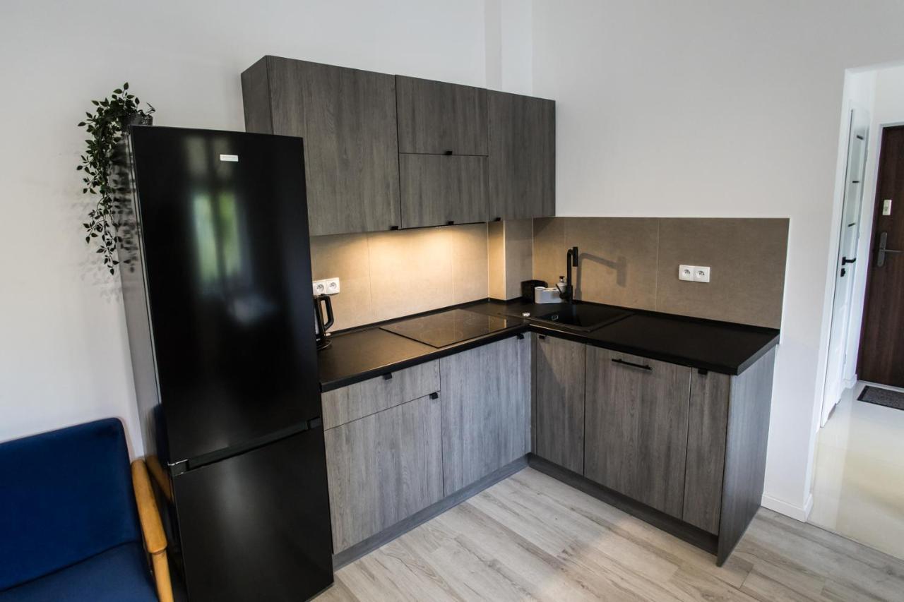 Apartament Kochanowskiego Stary Toruń المظهر الخارجي الصورة