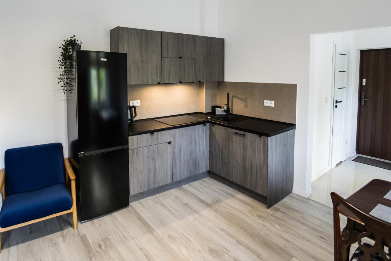 Apartament Kochanowskiego Stary Toruń المظهر الخارجي الصورة